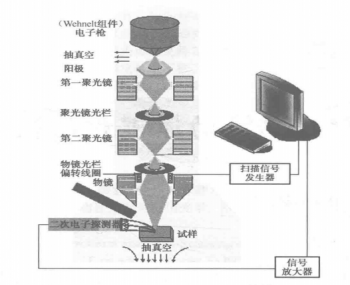 你想知道的臺式掃描電子顯微鏡原理在這里